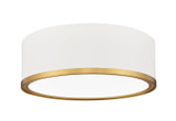 Flush Mounts Metal Shade by Z-Lite ( 224 | 1018F12-MW-MGLD-LED Bradley ) 