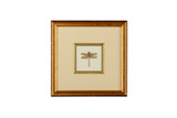 Home Accents Prints/Photography by Wildwood ( 460 | 386610 Chelsea House Misc ) 