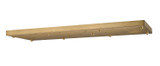 Specialty Items Fixture Accents/Parts by Z-Lite ( 224 | CP4217L-RB Multi Point Canopy ) 