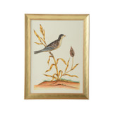 Home Accents Prints/Photography by Wildwood ( 460 | 387217 Bill Cain ) 