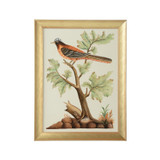 Home Accents Prints/Photography by Wildwood ( 460 | 387220 Bill Cain ) 