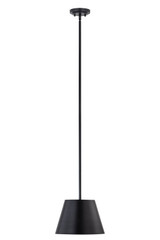 Pendants Metal Shade by Z-Lite ( 224 | 2307-12MB Lilly ) 