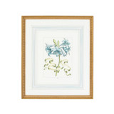 Home Accents Prints/Photography by Wildwood ( 460 | 380168 Chelsea House Misc ) 