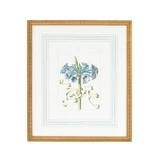 Home Accents Prints/Photography by Wildwood ( 460 | 380169 Chelsea House Misc ) 