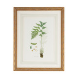 Home Accents Prints/Photography by Wildwood ( 460 | 380369 Chelsea House Misc ) 
