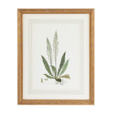 Home Accents Prints/Photography by Wildwood ( 460 | 380371 Chelsea House Misc ) 