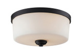 Flush Mounts Bowl Style by Z-Lite ( 224 | 220F3 Arlington ) 