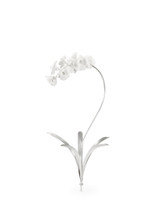 Home Accents Flowers/Greenery by Wildwood ( 460 | 384775 Bradshaw Orrell ) 