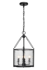 Foyer/Hall Lanterns Glass w/Frame by Z-Lite ( 224 | 346P12-MB Barrington ) 