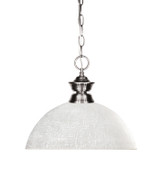 Pendants Glass Down by Z-Lite ( 224 | 100701BN-DWL14 Shark ) 