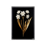 Home Accents Dimensional Wall Art by Wildwood ( 460 | 385973 Bill Cain ) 