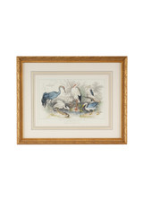 Home Accents Prints/Photography by Wildwood ( 460 | 386061 Chelsea House Misc ) 