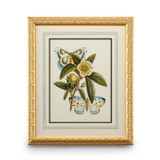 Home Accents Prints/Photography by Wildwood ( 460 | 386095 Chelsea House Misc ) 