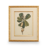 Home Accents Prints/Photography by Wildwood ( 460 | 386177 Chelsea House Misc ) 
