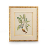 Home Accents Prints/Photography by Wildwood ( 460 | 386179 Chelsea House Misc ) 