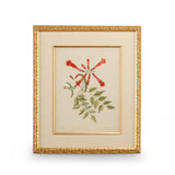 Home Accents Prints/Photography by Wildwood ( 460 | 386180 Chelsea House Misc ) 
