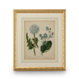 Home Accents Prints/Photography by Wildwood ( 460 | 386238 Chelsea House Misc ) 