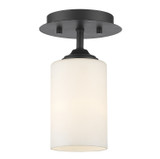 Semi-Flush Mts. Glass Down by Z-Lite ( 224 | 435F1-BRZ Bordeaux ) 
