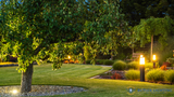 Solar Outdoor Lights: The Complete Guide