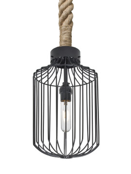 Multi-Systems Line Voltage Pendants by Besa ( 74 | 1JT-SULTANA-C-BK Sultana Rope ) 