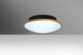 Flush Mounts Bowl Style by Besa ( 74 | SILK12GDC-LED Silk 12 ) 