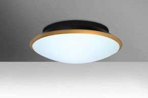 Flush Mounts Bowl Style by Besa ( 74 | SILK16GDC-LED Silk 16 ) 