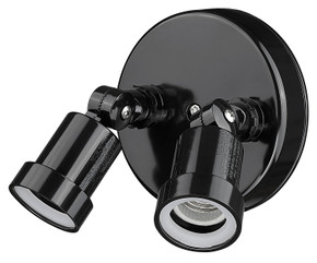 Exterior Spot Lights by Acclaim Lighting ( 106 | FL2BK Floodlights ) 