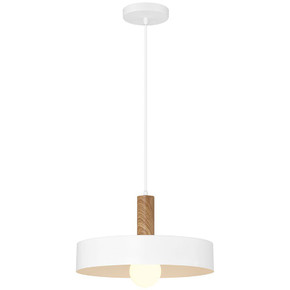 Pendants Metal Shade by Access ( 18 | 23798-WH/WGN Slate ) 