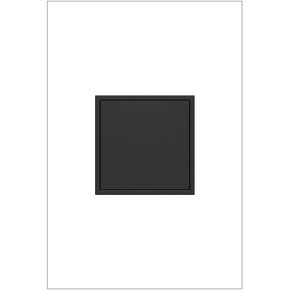 Specialty Items Outlets by Legrand ( 246 | ARPTR201GG2 Adorne ) 