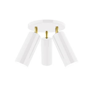 Flush Mounts Multi-Port/Cluster by Montclair Light Works ( 518 | FMH440-44-91 Martin ) 