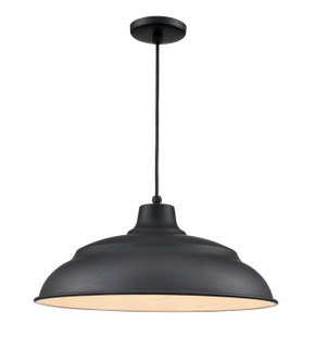 Pendants Metal Shade by Millennium ( 59 | RALWHC20-SB R Series ) 