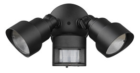 Exterior Spot Lights by Acclaim Lighting ( 106 | LFL2BKM LED Floodlights ) 