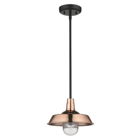 Exterior Hanging by Acclaim Lighting ( 106 | 1736CO Burry ) 