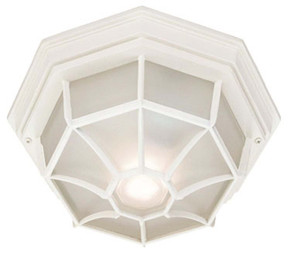 Exterior Ceiling Mount by Acclaim Lighting ( 106 | 2002TW Flushmounts ) 
