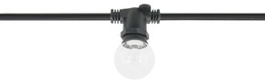 Specialty Items Commercial by American Lighting ( 303 | LS-C-12-BK Light String ) 