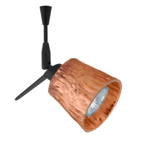 Multi-Systems Low Voltage Heads by Besa ( 74 | SP-5145CF-BK Besa Nico 3 Spotlight ) 