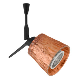 Multi-Systems Low Voltage Heads by Besa ( 74 | SP-5145CF-LED-BK Besa Nico 3 Spotlight ) 