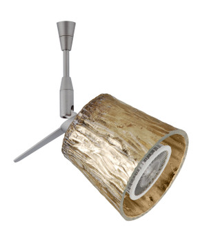 Multi-Systems Low Voltage Heads by Besa ( 74 | SP-5145GF-LED-SN Nico ) 