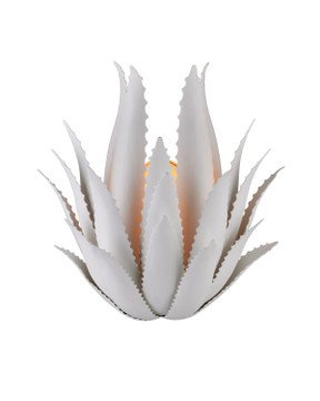 Sconces Pocket by Currey and Company ( 142 | 5000-0259 Agave Collection ) 