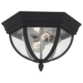 Exterior Ceiling Mount by Generation Lighting ( 1 | 78136-12 Wynfield ) 
