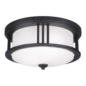 Exterior Ceiling Mount by Generation Lighting ( 1 | 7847902EN3-12 Crowell ) 