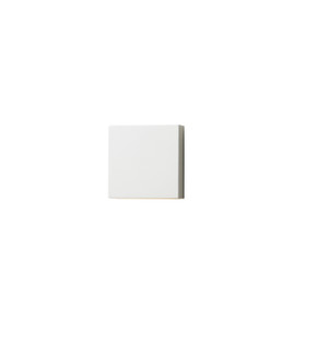 Exterior Wall Mt./Flush by ET2 ( 86 | E23212-WT Brik ) 