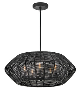 Exterior Hanging by Hinkley ( 13 | 10385BK-LV Luca ) 
