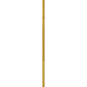 Specialty Items Fixture Accents/Parts by Hinkley ( 13 | 6212VS Stem ) 