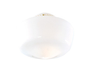 Shades Misc. Glass by Hunter ( 47 | 22515 Schoolhouse Globe ) 