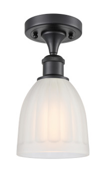 Semi-Flush Mts. Cage by Innovations ( 405 | 516-1C-BK-G441-LED Ballston ) 