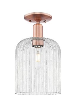 Semi-Flush Mts. Glass Down by Innovations ( 405 | 716-1C-AC-G559-8CL Arcadia ) 