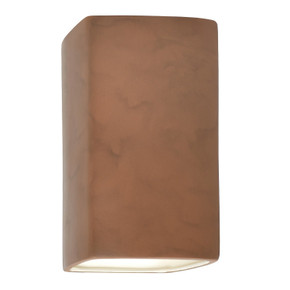 Exterior Wall Mt./Flush by Justice Designs ( 102 | CER-0955W-TERA-LED1-1000 Ambiance ) 
