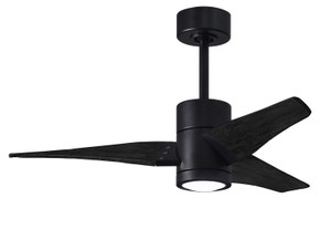 Fans Damp Location by Matthews Fan Company ( 101 | SJ-BK-BK-42 Super Janet ) 