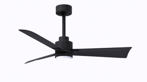 Fans Damp Location by Matthews Fan Company ( 101 | AKLK-BK-BK-42 Alessandra - LK ) 